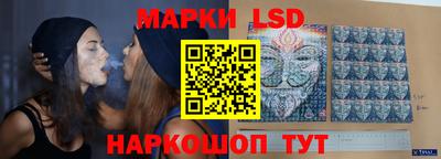 прущие грибы Будённовск