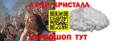 прущие грибы Будённовск
