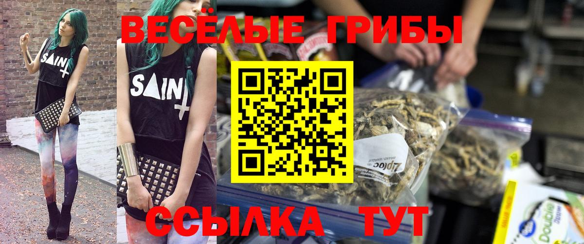 Галлюциногенные грибы ЛСД Сальск