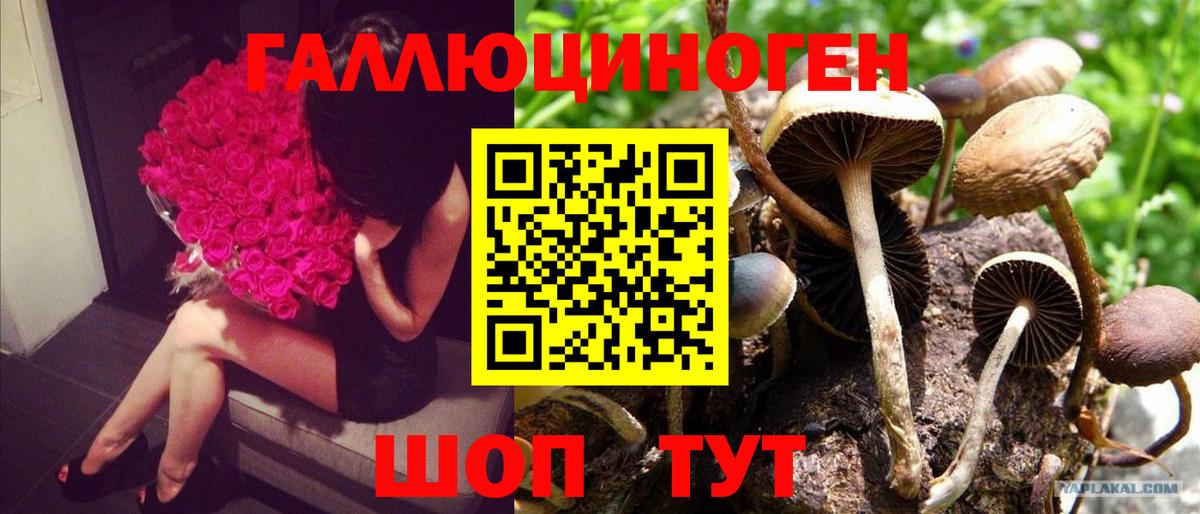 Сальск  Псилоцибиновые грибы Magic Shrooms  что такое наркотик  Вход с VPN 